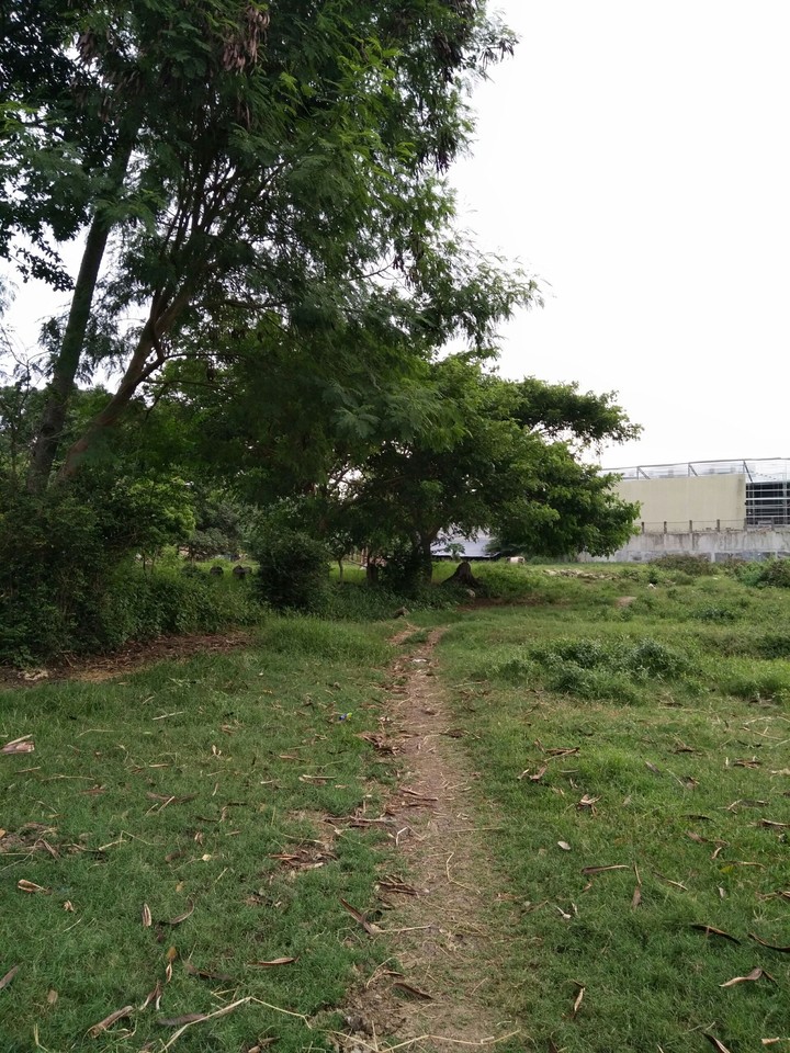 trail