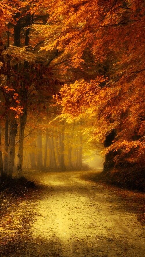 fall