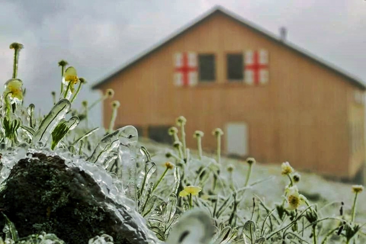 Ice
