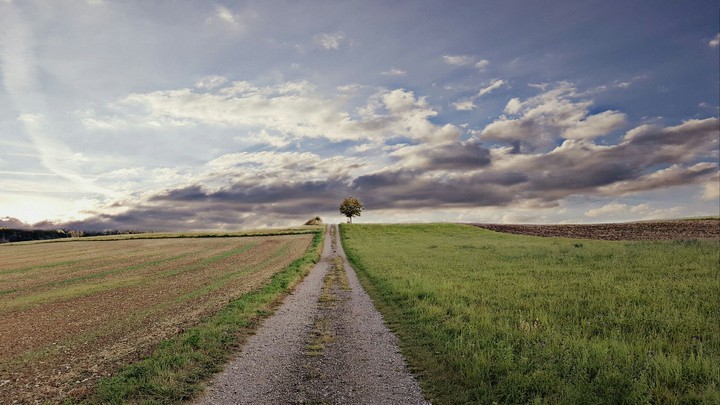 Landweg