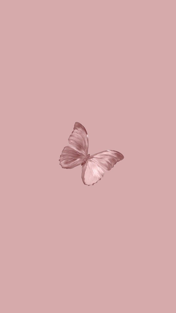 mariposa