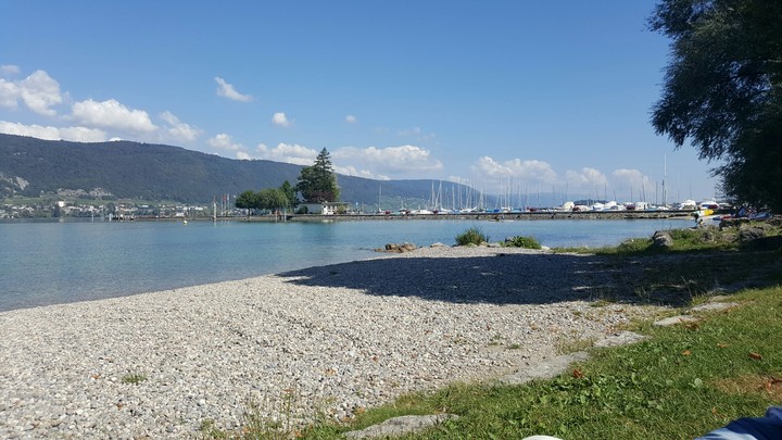 see in erlach
