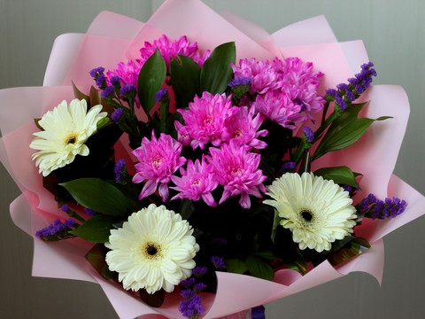 pink, flowers wallpapers