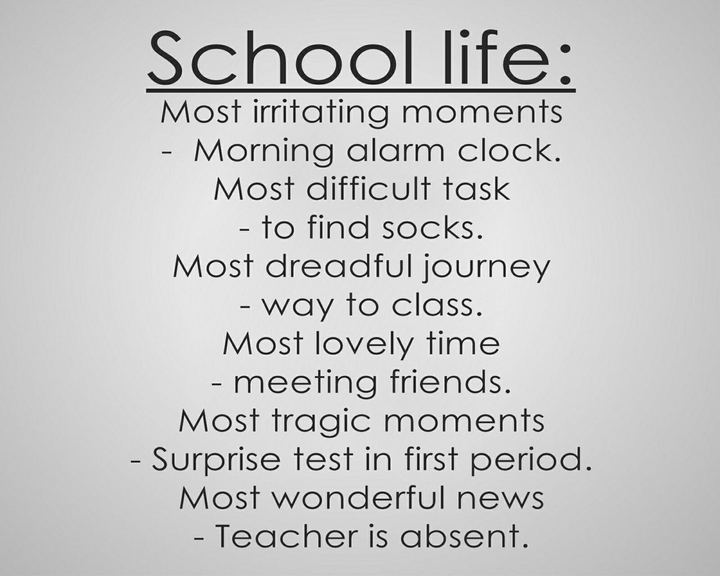 school life