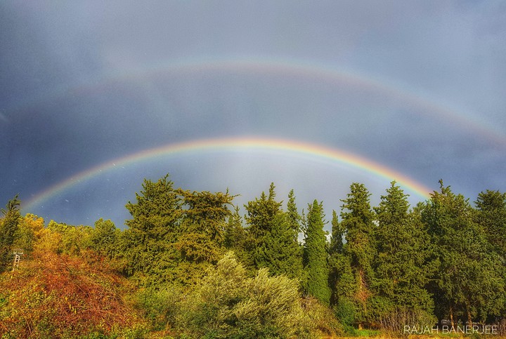 Rainbow