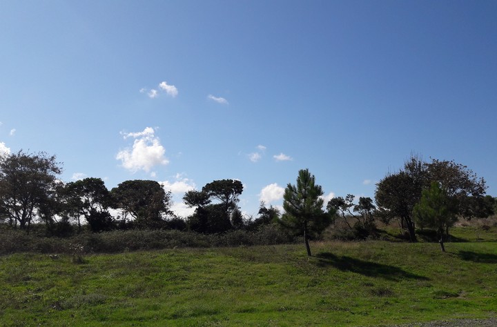 Nature