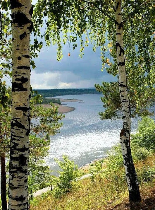 Свобода дыхания