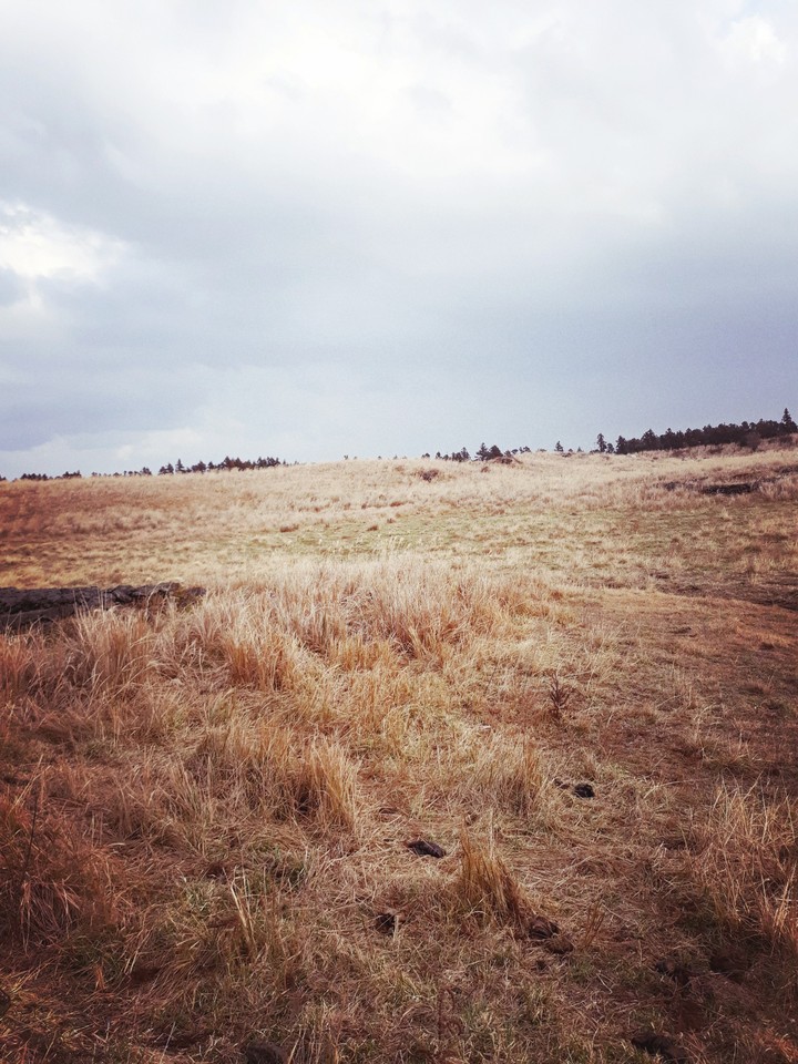 field