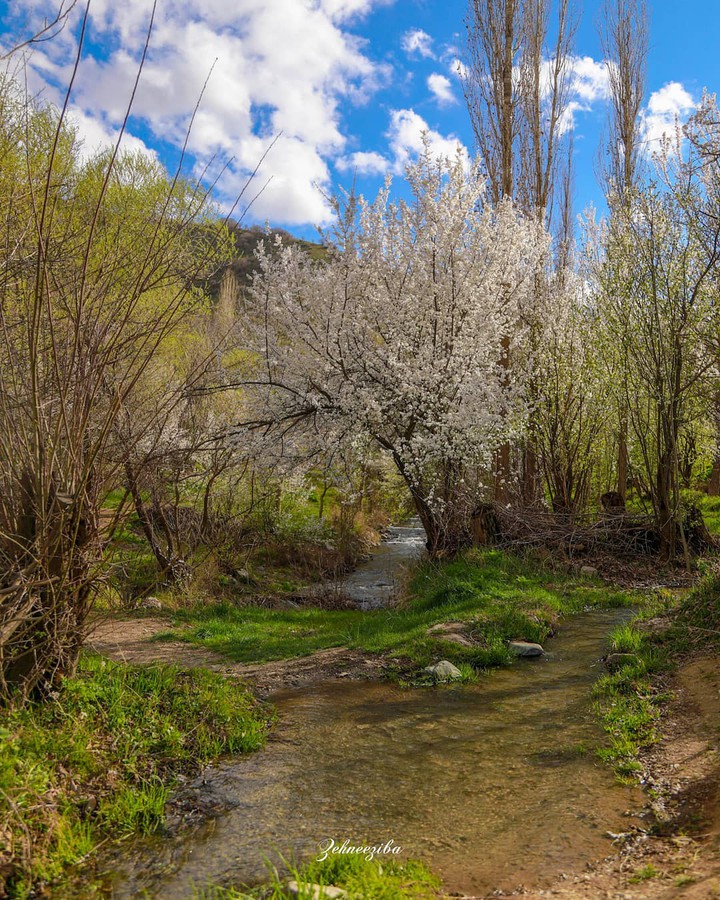 Marivan Nature