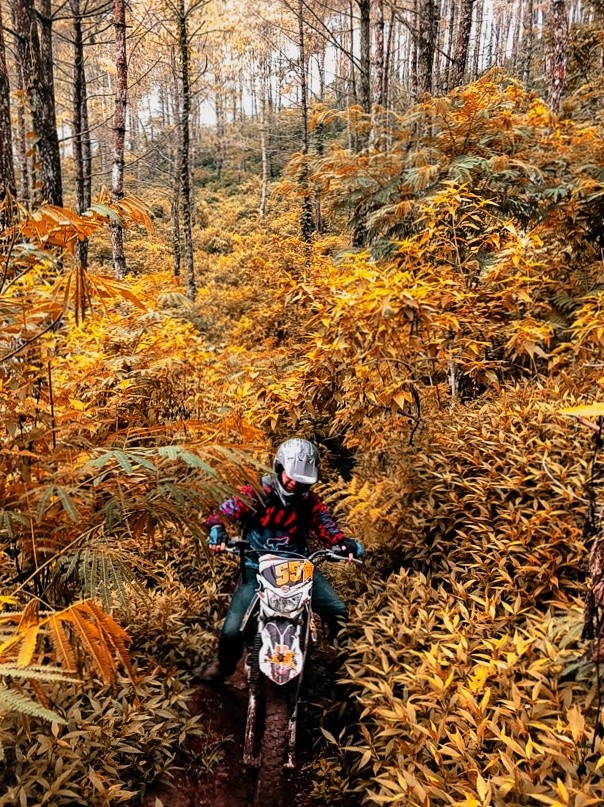 Trail Games