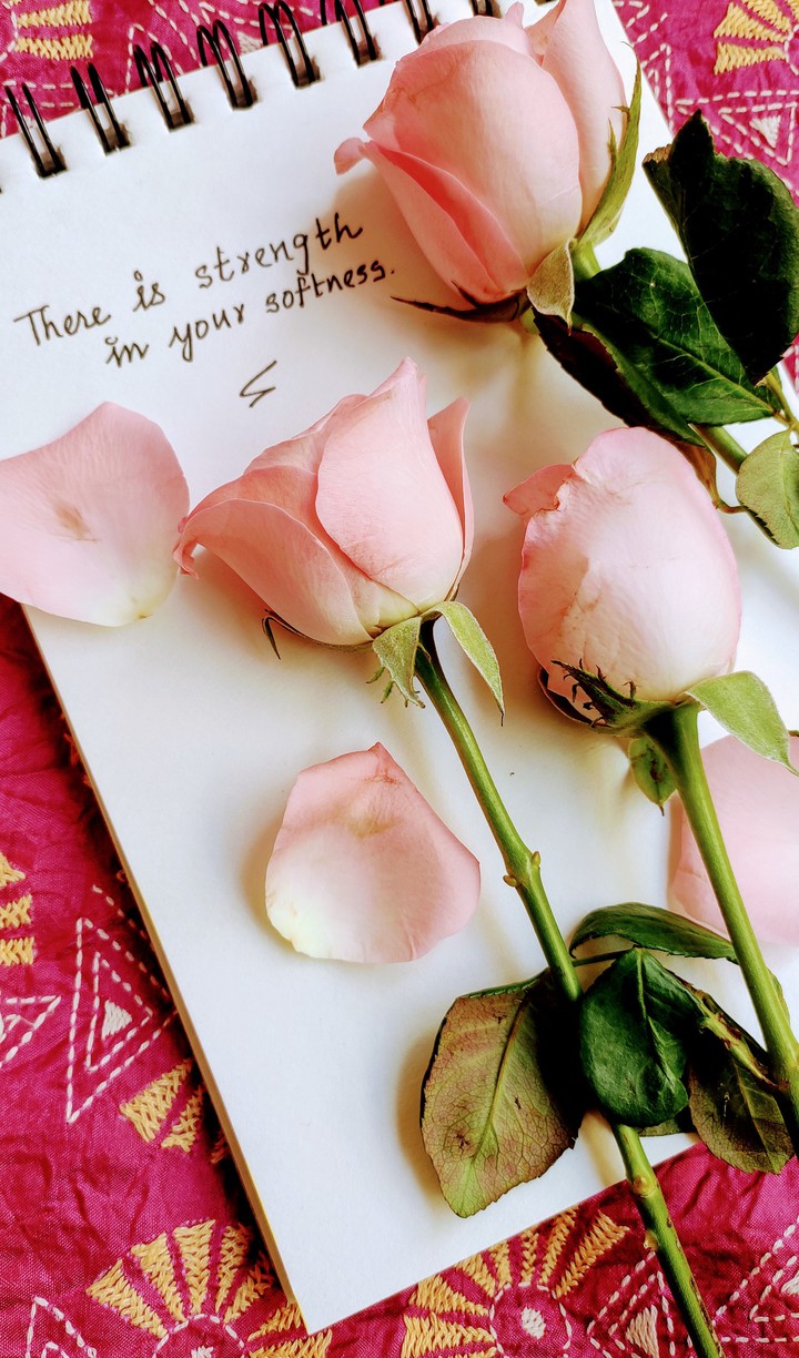 Life in pink