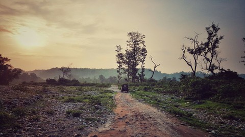 Sunrise at Jim Corbett National Park