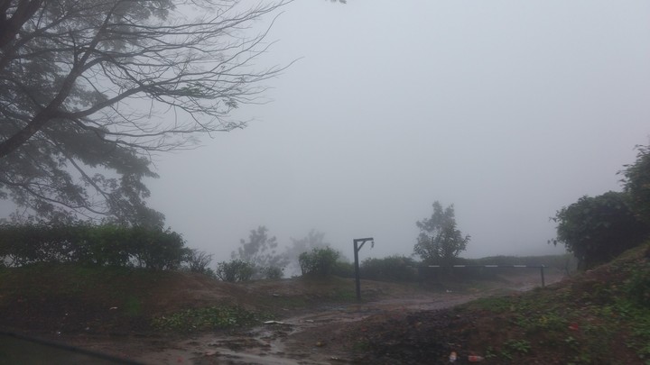 fog
