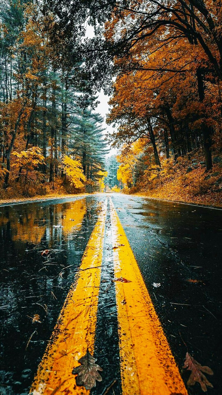 Fall