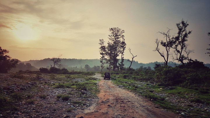 Sunrise at Jim Corbett National Park