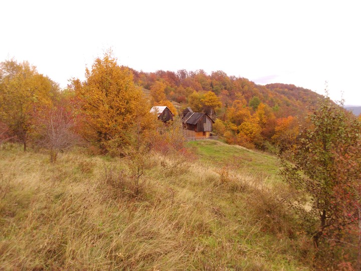 Jesen u planinama- the autumn in Bosnian mountains