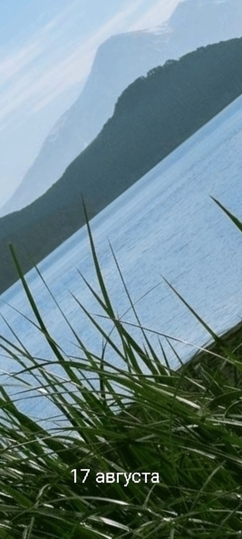 green, wind Hintergrundbilder