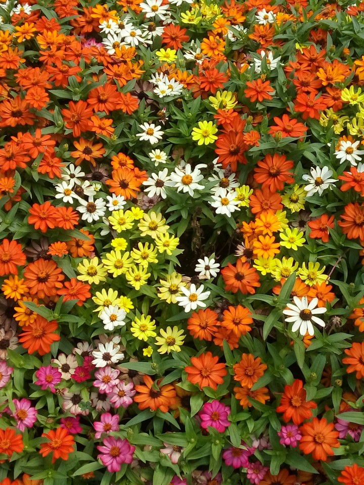 Colors of the summer