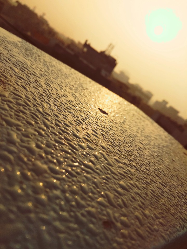 dew drops