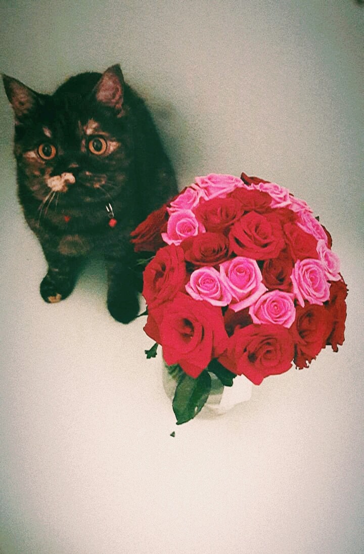 Sonja