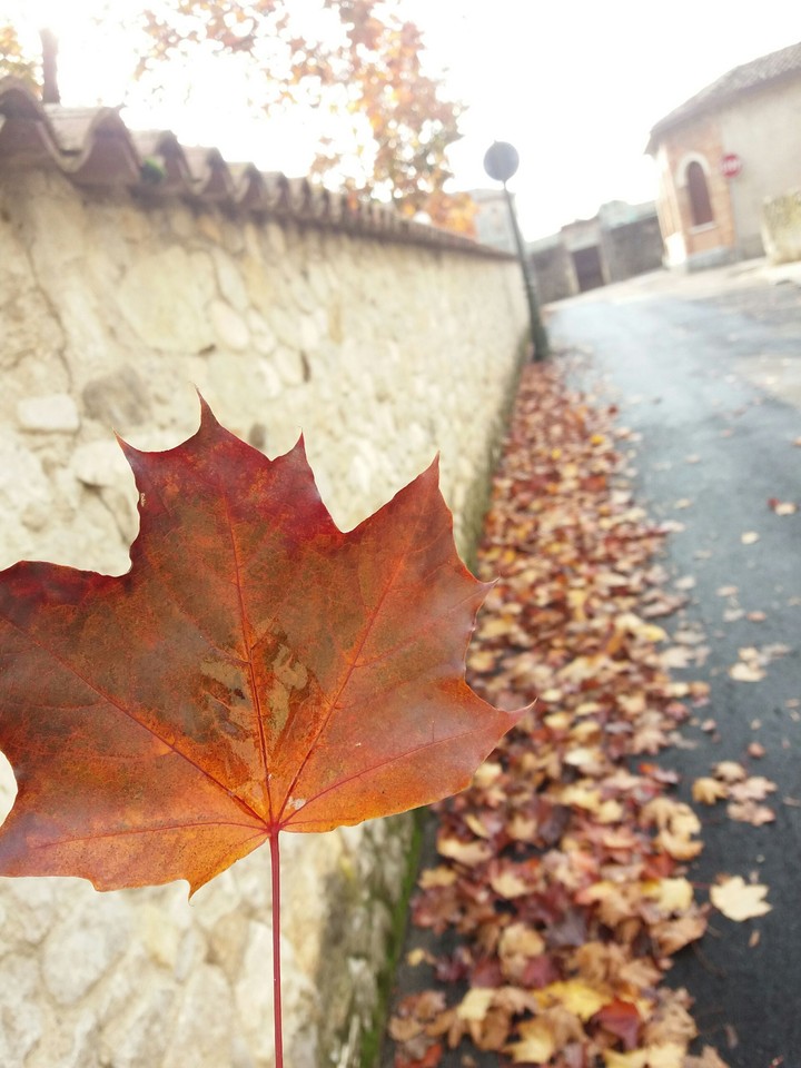 //autunno//2016