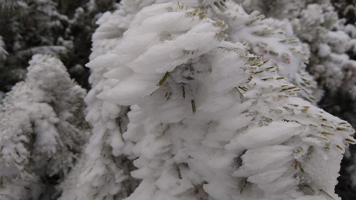 Frozen