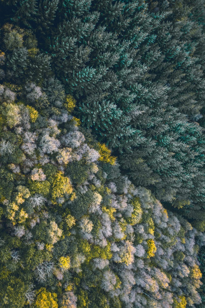 natur