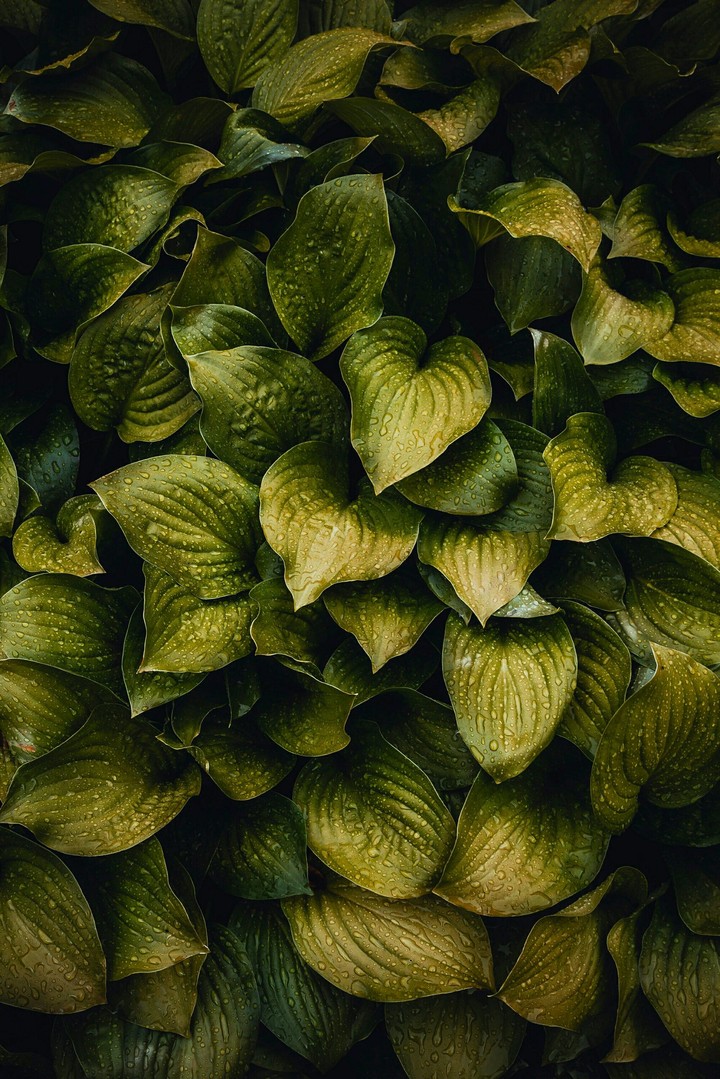 #photography
