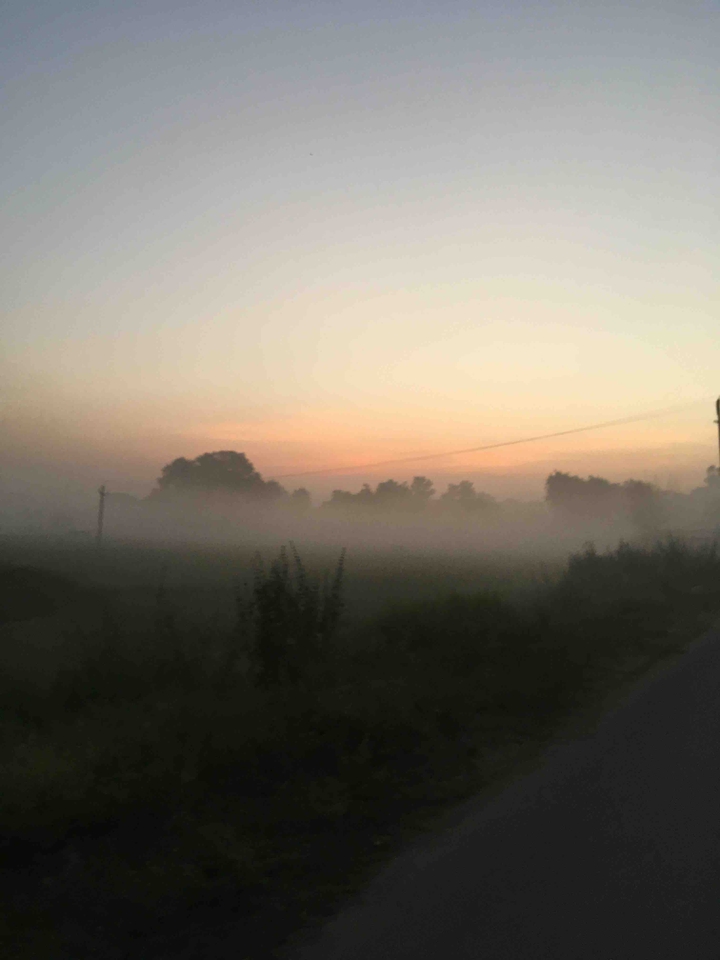 Beautiful morning