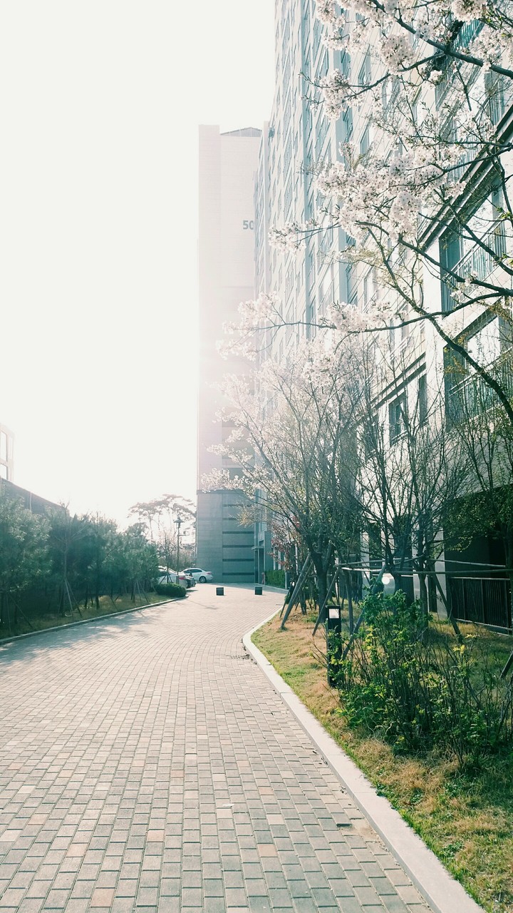 아파트