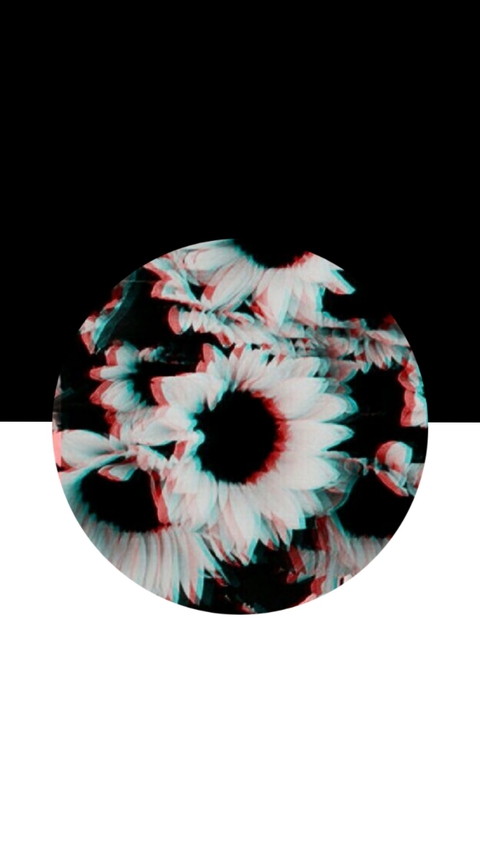 3t