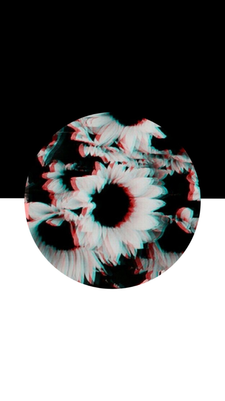 3t