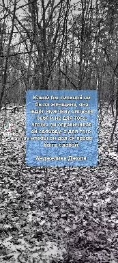 цитаты