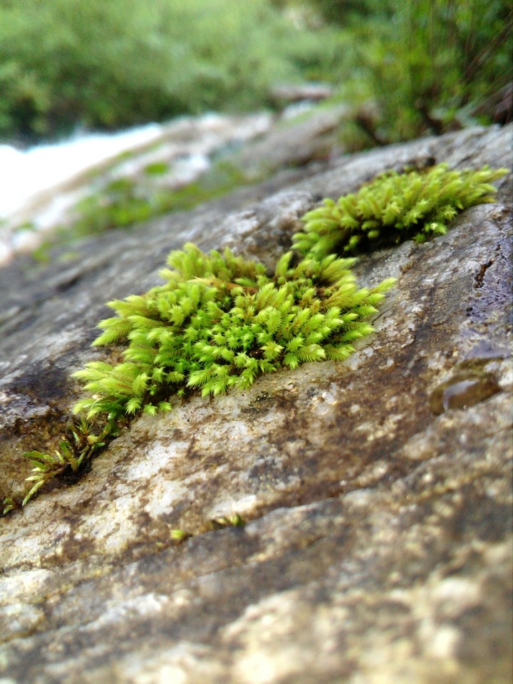 secret of nature
