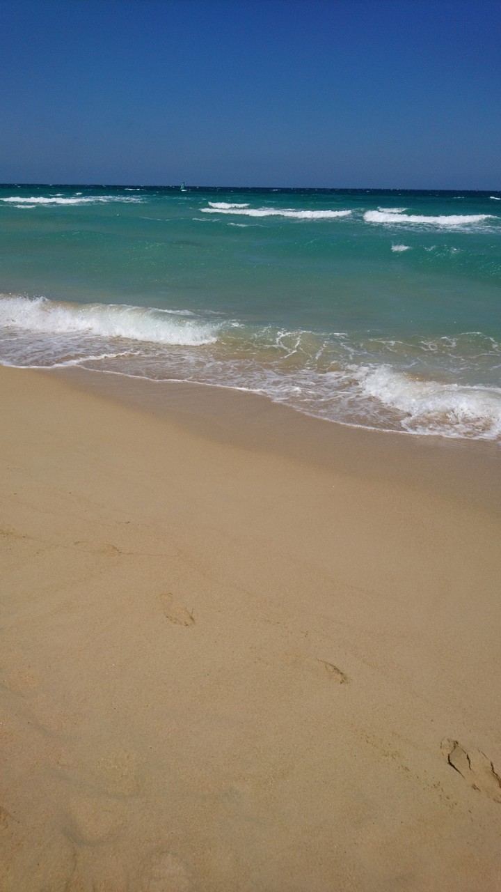 mare