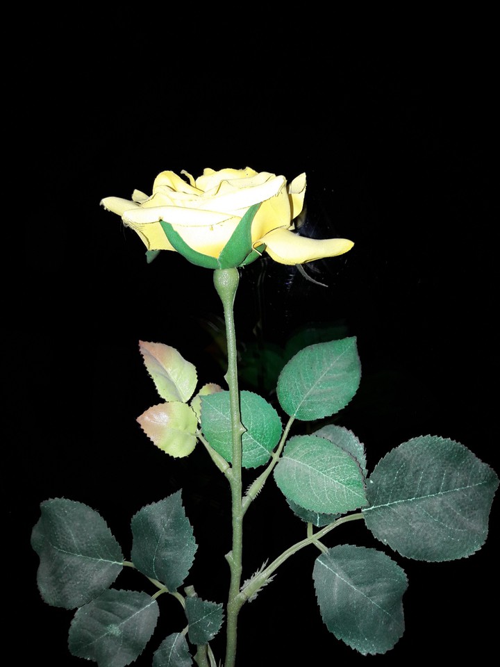 flower power