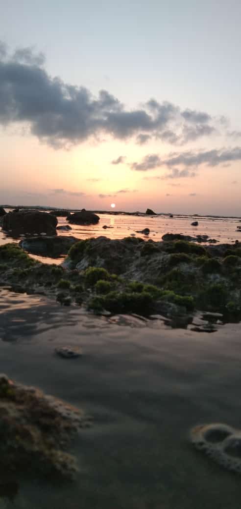 my village