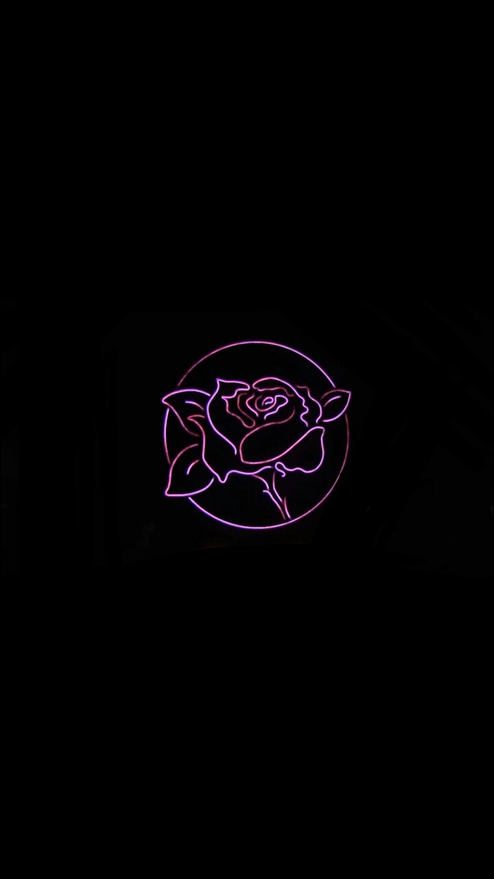 Violet Rose