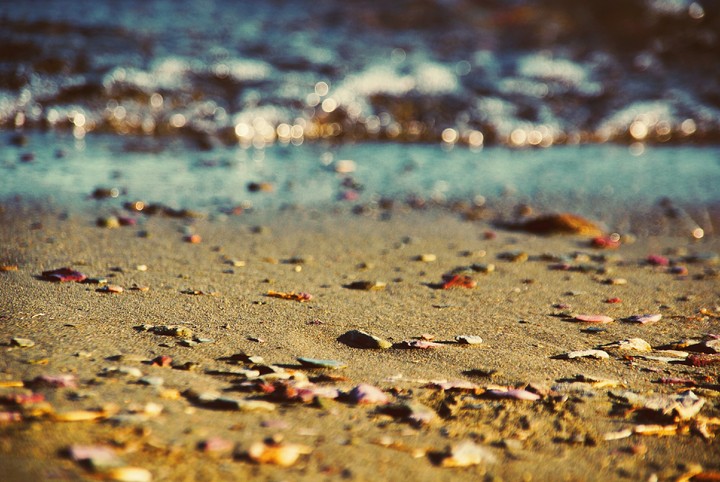 beach
