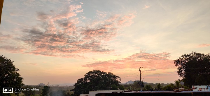 Early Mornings