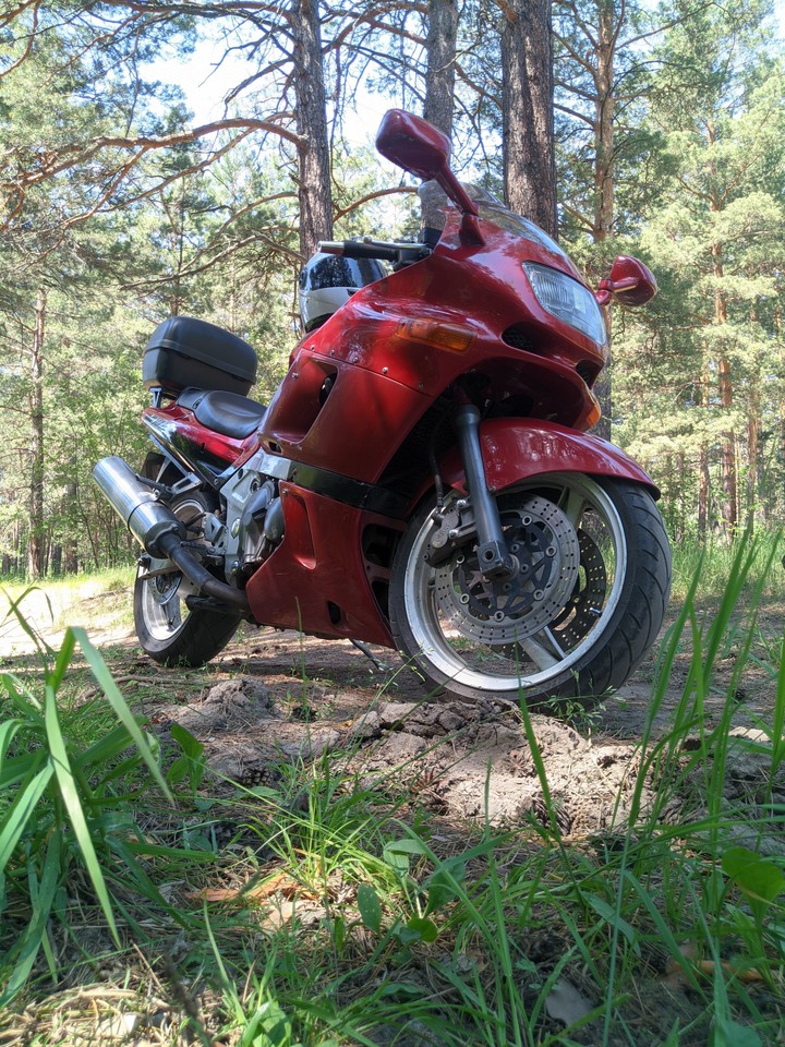 zzr