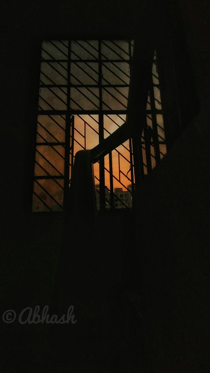 Urban Views.