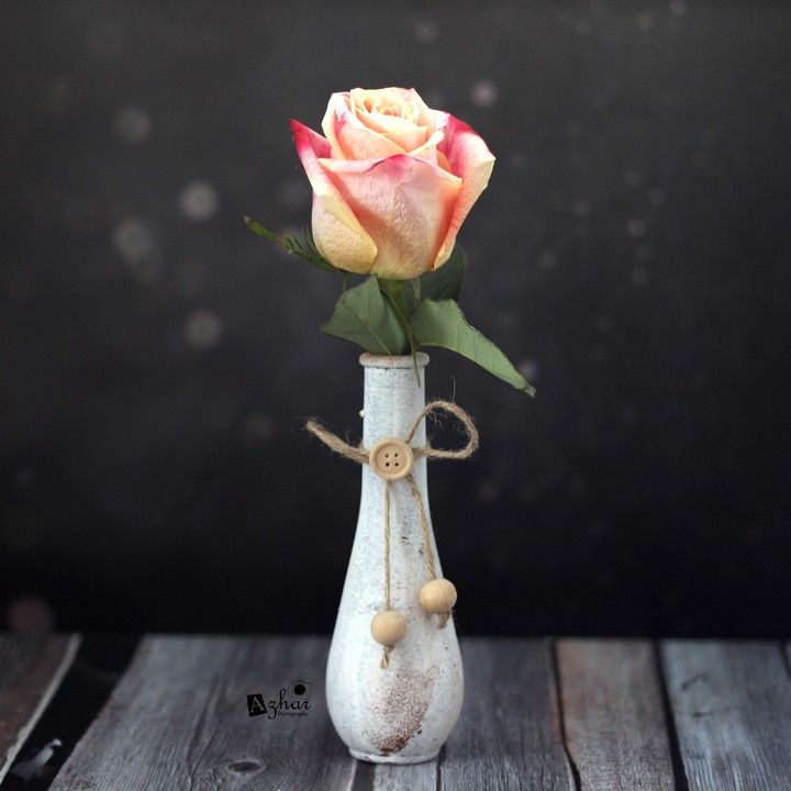 Beautiful Flower