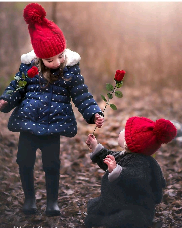 love