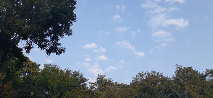 morning sky