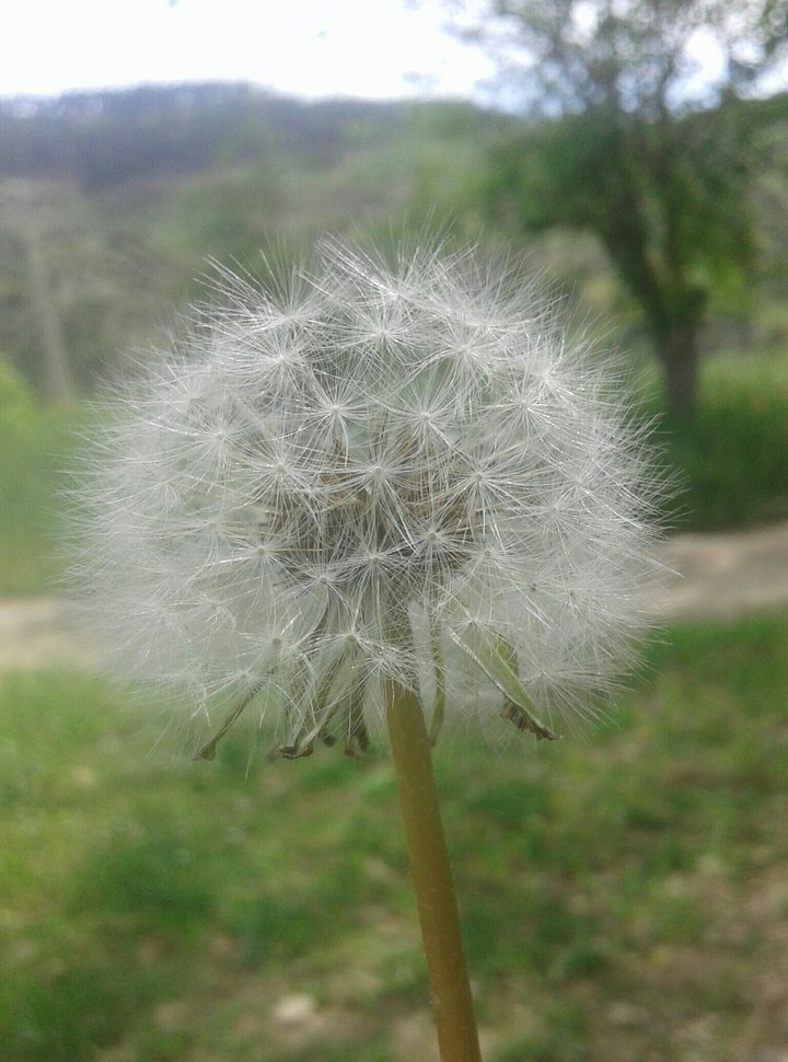 fragile