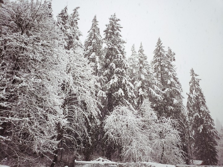 Winter
