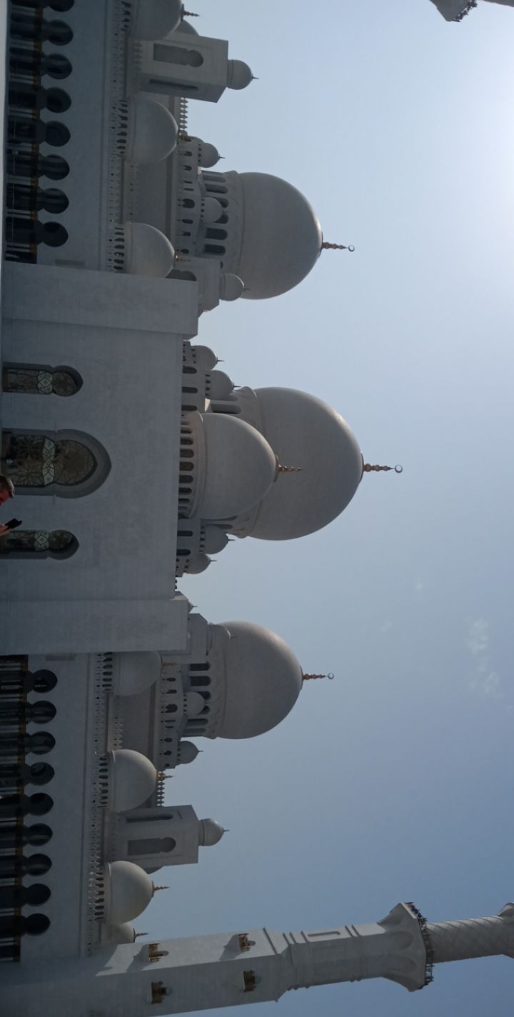 Shaikh Zayd mosque