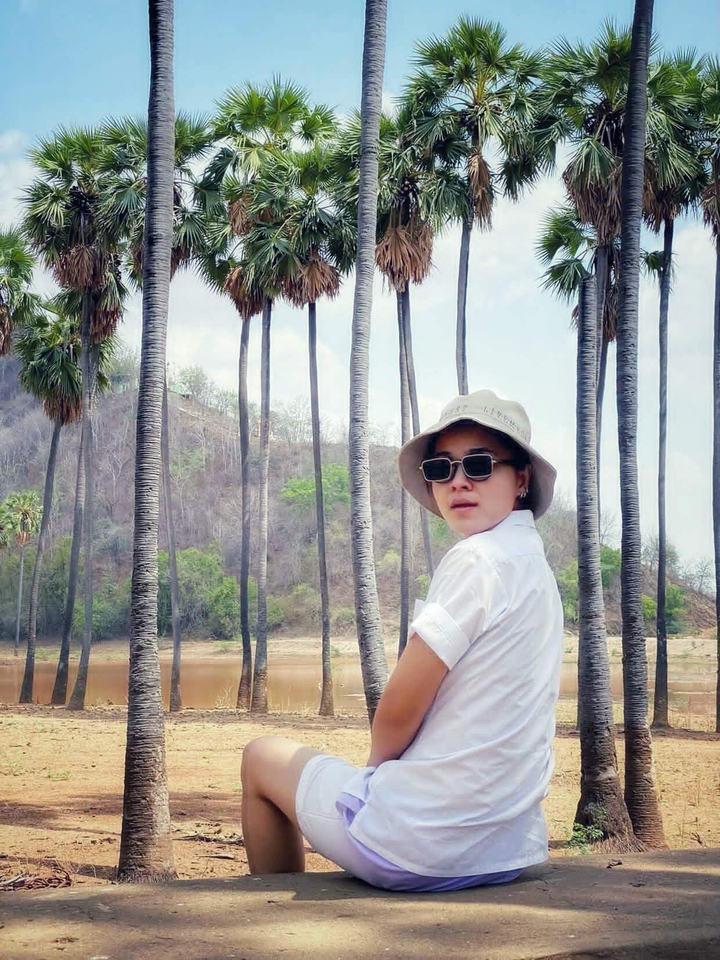 Palm forest
