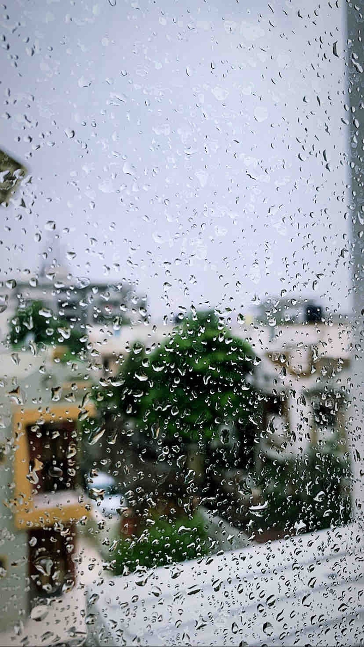 Rain